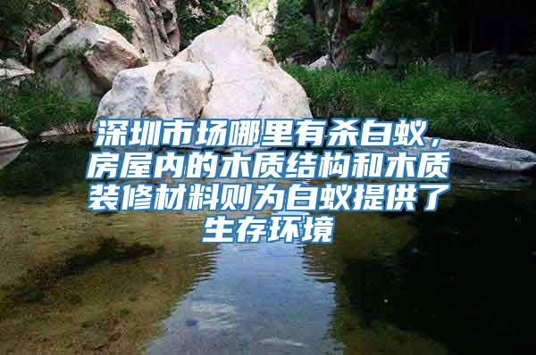 深圳市場哪里有殺白蟻，房屋內(nèi)的木質(zhì)結(jié)構(gòu)和木質(zhì)裝修材料則為白蟻提供了生存環(huán)境