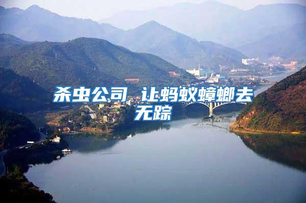 殺蟲(chóng)公司 讓螞蟻蟑螂去無(wú)蹤