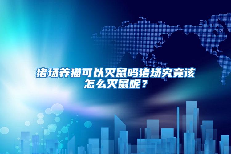 豬場養(yǎng)貓可以滅鼠嗎豬場究竟該怎么滅鼠呢？