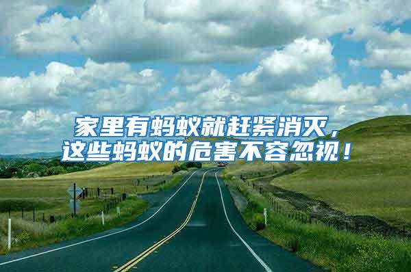 家里有螞蟻就趕緊消滅，這些螞蟻的危害不容忽視！