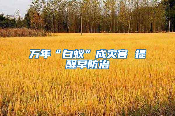 萬(wàn)年“白蟻”成災(zāi)害 提醒早防治