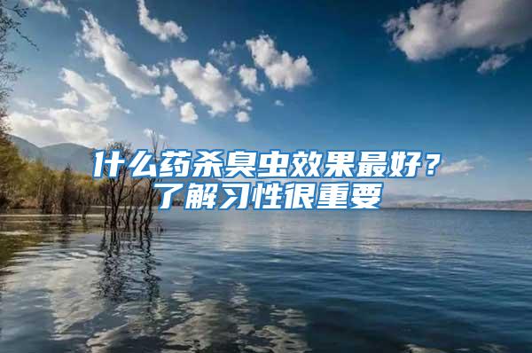 什么藥殺臭蟲效果最好？了解習性很重要