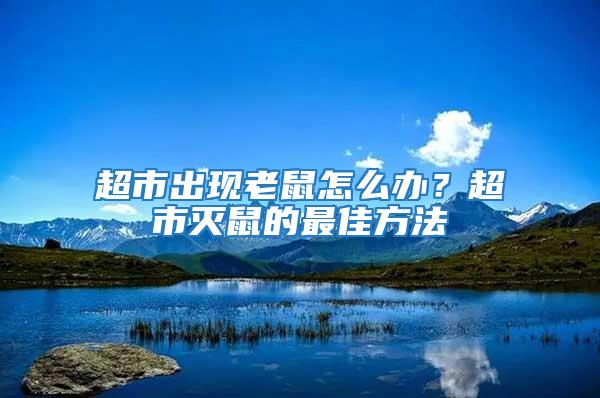超市出現(xiàn)老鼠怎么辦？超市滅鼠的最佳方法