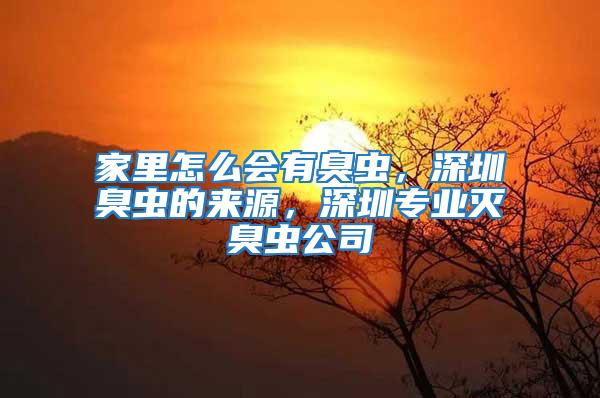 家里怎么會有臭蟲，深圳臭蟲的來源，深圳專業滅臭蟲公司