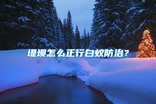 堤壩怎么正行白蟻防治？