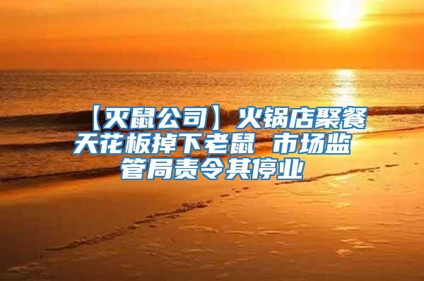 【滅鼠公司】火鍋店聚餐天花板掉下老鼠 市場監(jiān)管局責令其停業(yè)