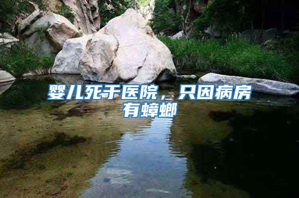 嬰兒死于醫(yī)院，只因病房有蟑螂