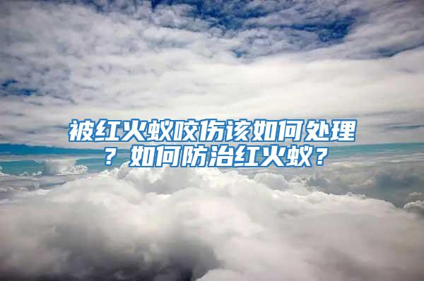 被紅火蟻咬傷該如何處理？如何防治紅火蟻？