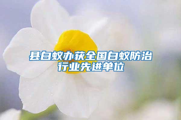縣白蟻辦獲全國白蟻防治行業(yè)先進(jìn)單位