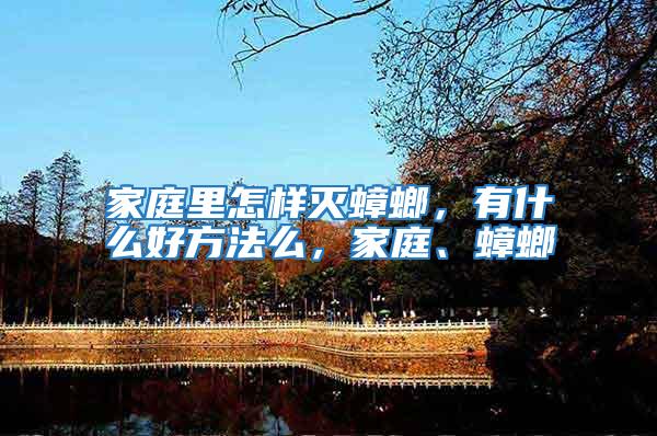 家庭里怎樣滅蟑螂，有什么好方法么，家庭、蟑螂