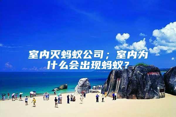 室內滅螞蟻公司；室內為什么會出現螞蟻？