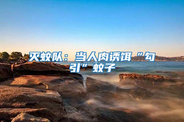 滅蚊隊(duì)：當(dāng)人肉誘餌“勾引”蚊子