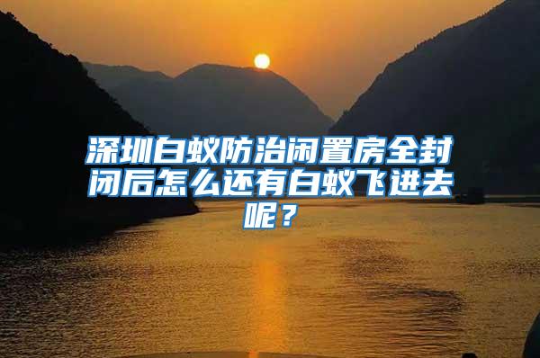 深圳白蟻防治閑置房全封閉后怎么還有白蟻飛進去呢？