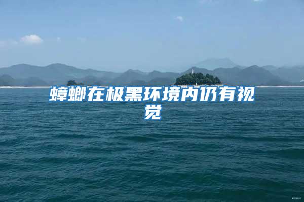 蟑螂在極黑環(huán)境內(nèi)仍有視覺
