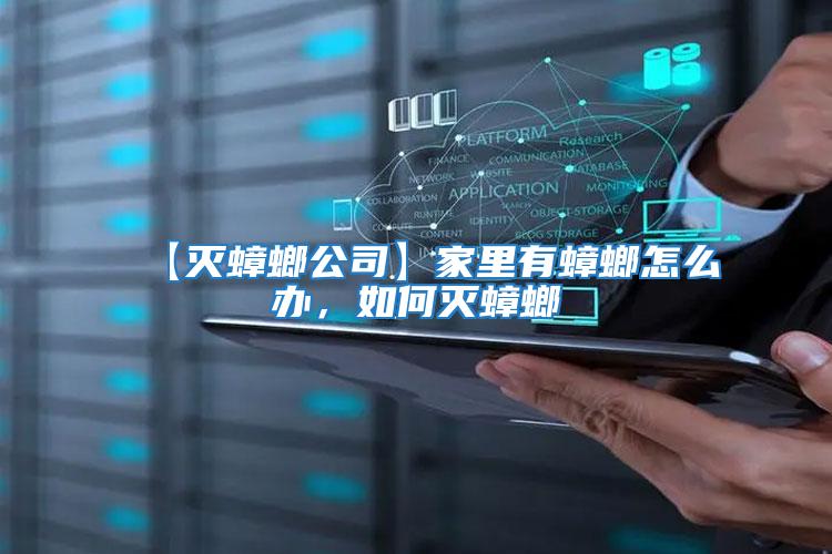 【滅蟑螂公司】家里有蟑螂怎么辦，如何滅蟑螂