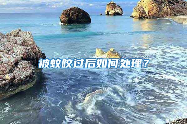 被蚊咬過后如何處理？