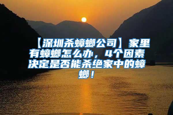 【深圳殺蟑螂公司】家里有蟑螂怎么辦，4個(gè)因素決定是否能殺絕家中的蟑螂！