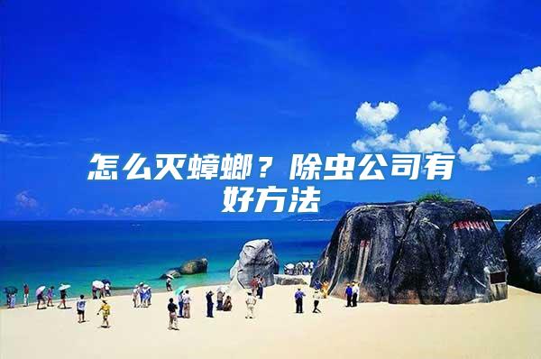 怎么滅蟑螂？除蟲(chóng)公司有好方法