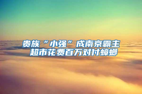 貴族“小強(qiáng)”成南京霸主 超市花費(fèi)百萬對(duì)付蟑螂