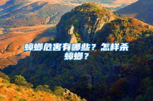蟑螂危害有哪些？怎樣殺蟑螂？