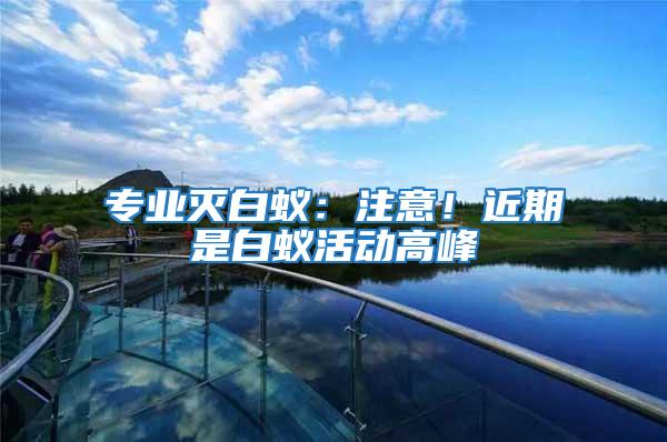 專業(yè)滅白蟻：注意！近期是白蟻活動(dòng)高峰