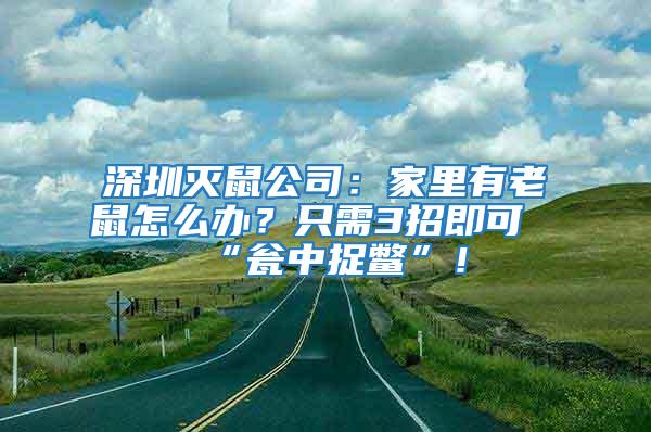 深圳滅鼠公司：家里有老鼠怎么辦？只需3招即可“甕中捉鱉”！