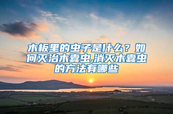 木板里的蟲子是什么？如何滅治木蠹蟲,消滅木蠹蟲的方法有哪些