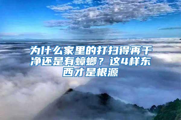 為什么家里的打掃得再干凈還是有蟑螂？這4樣東西才是根源