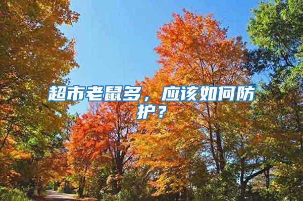 超市老鼠多，應該如何防護？
