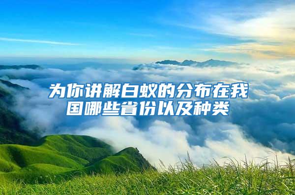 為你講解白蟻的分布在我國(guó)哪些省份以及種類(lèi)