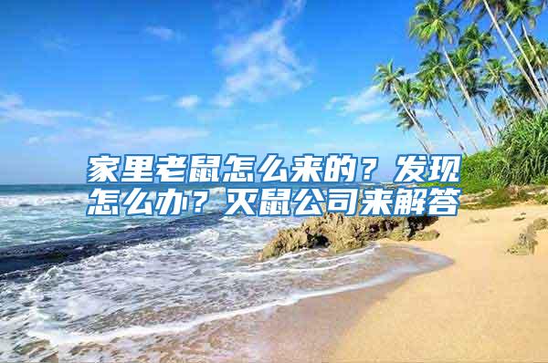 家里老鼠怎么來的？發(fā)現(xiàn)怎么辦？滅鼠公司來解答