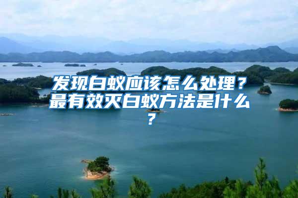 發現白蟻應該怎么處理？最有效滅白蟻方法是什么？