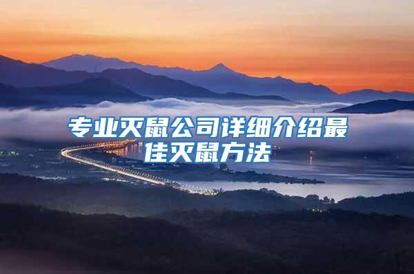 專(zhuān)業(yè)滅鼠公司詳細(xì)介紹最佳滅鼠方法