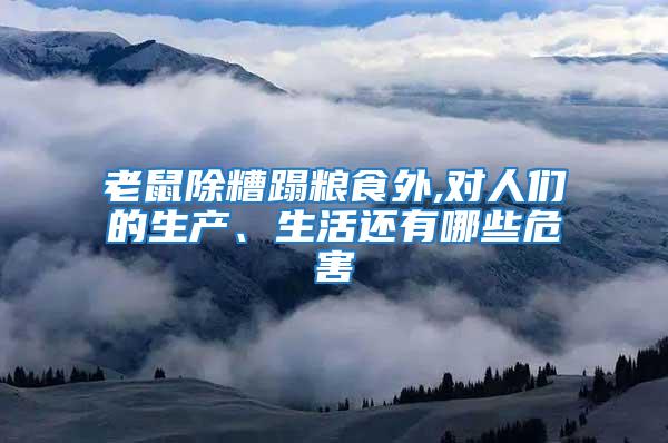 老鼠除糟蹋糧食外,對人們的生產、生活還有哪些危害