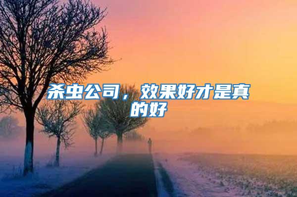 殺蟲(chóng)公司，效果好才是真的好