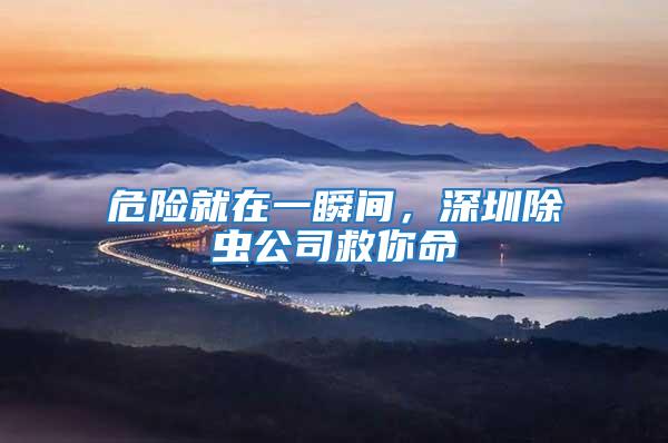 危險就在一瞬間，深圳除蟲公司救你命