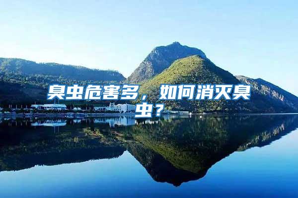 臭蟲(chóng)危害多，如何消滅臭蟲(chóng)？