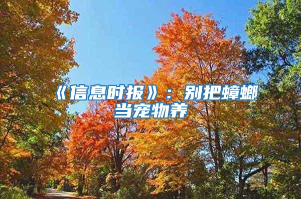 《信息時報》：別把蟑螂當(dāng)寵物養(yǎng)