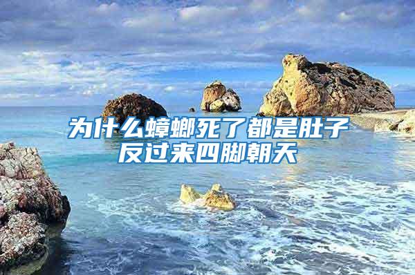 為什么蟑螂死了都是肚子反過(guò)來(lái)四腳朝天