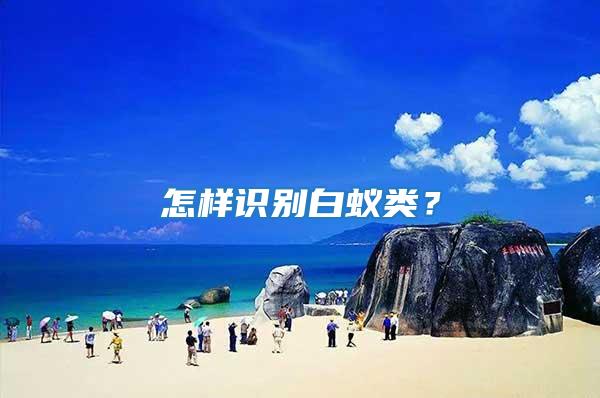 怎樣識別白蟻類？