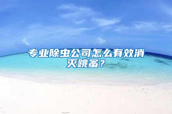 專業(yè)除蟲公司怎么有效消滅跳蚤？
