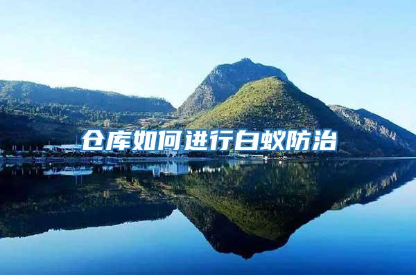 倉(cāng)庫(kù)如何進(jìn)行白蟻防治
