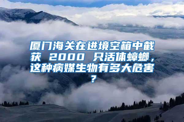 廈門海關(guān)在進(jìn)境空箱中截獲 2000 只活體蟑螂，這種病媒生物有多大危害？
