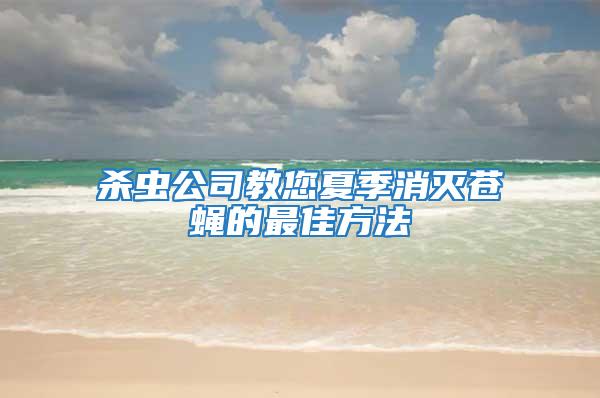 殺蟲(chóng)公司教您夏季消滅蒼蠅的最佳方法