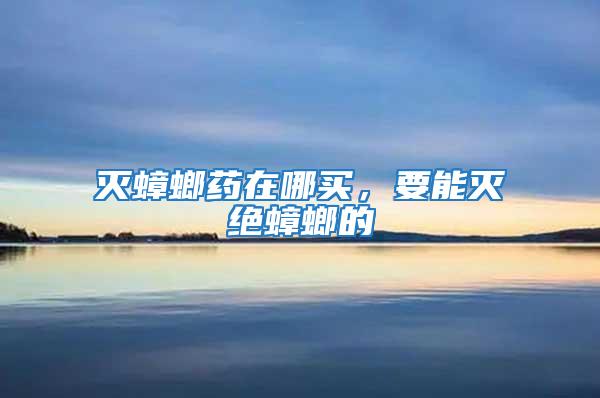 滅蟑螂藥在哪買(mǎi)，要能滅絕蟑螂的