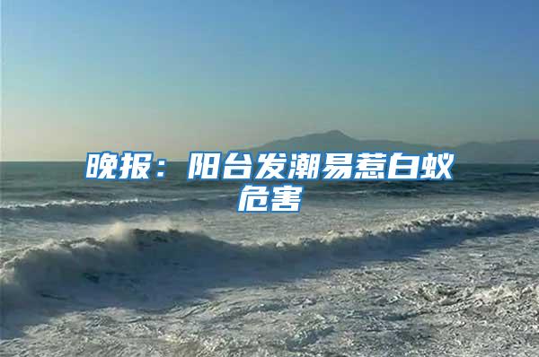晚報：陽臺發(fā)潮易惹白蟻危害