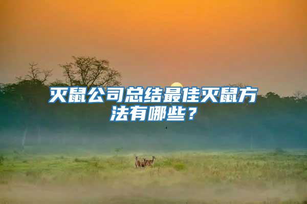 滅鼠公司總結最佳滅鼠方法有哪些？