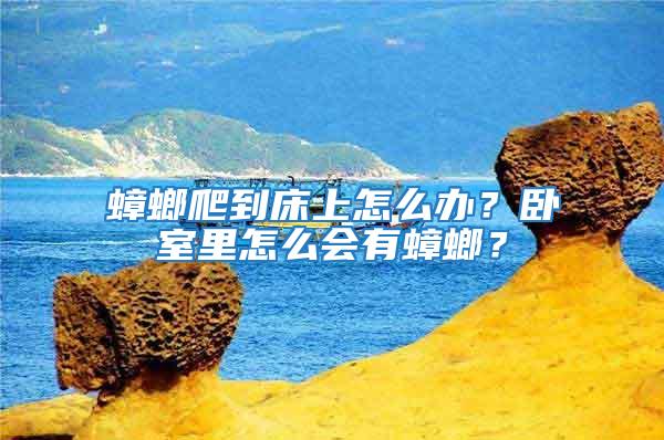 蟑螂爬到床上怎么辦？臥室里怎么會有蟑螂？