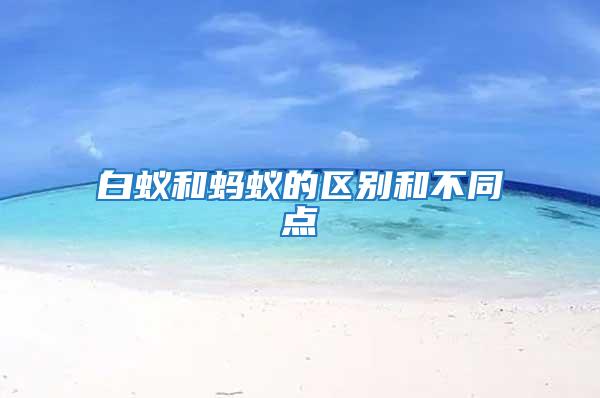 白蟻和螞蟻的區(qū)別和不同點