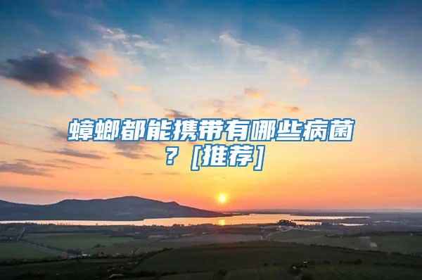 蟑螂都能攜帶有哪些病菌？[推薦]